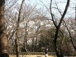 IMG_0076.jpg