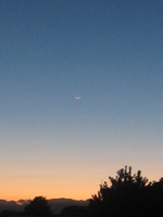 IMG_4068.JPG