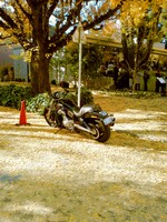 SA3C0081.jpg