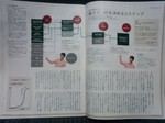 SA3C0177half.jpg