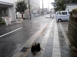 090824rain01.jpg