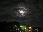DSC00587.JPG