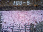 SA3C0533.JPG