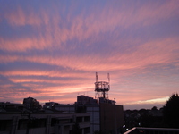DSC04407.JPG