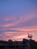 DSC04408.JPG