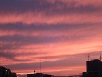 DSC04409.JPG