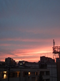 DSC04412.JPG