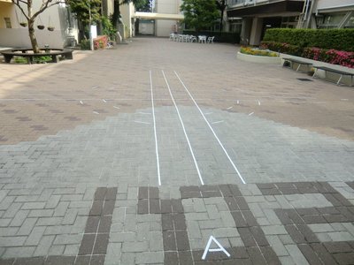 552972_357178881015210_1124965678_n.jpg